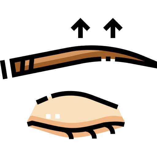 Eyebrow icon