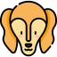 Saluki icon 64x64