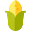 Corn icon 64x64