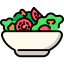 Salad icon 64x64