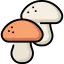 Mushrooms icon 64x64