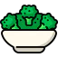Salad icon 64x64