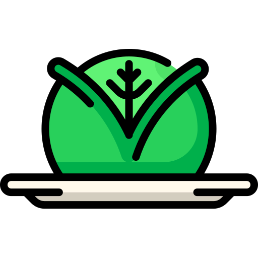 Cabbage icon