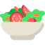 Salad icon 64x64