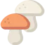 Mushrooms icon 64x64