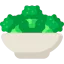 Salad icon 64x64