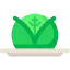 Cabbage Ikona 64x64