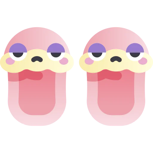 Slippers icon