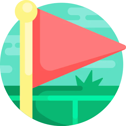 Flag icon