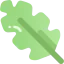 Leaf icon 64x64