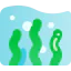 Seaweed icon 64x64