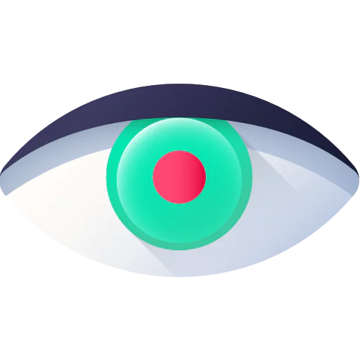Vision icon