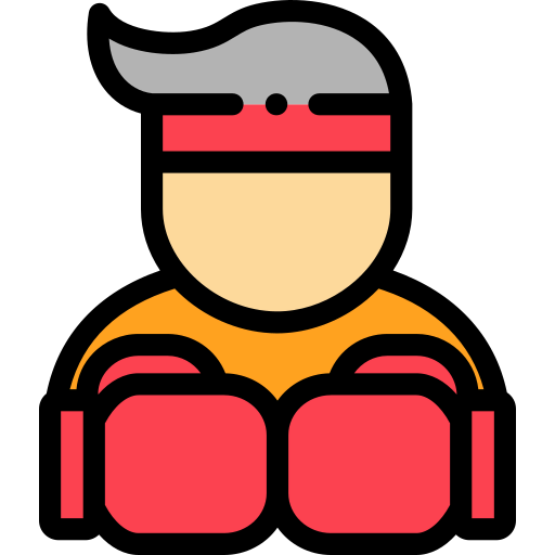 Boxing icon