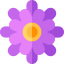 Aster icon 64x64
