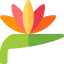 Bird of paradise biểu tượng 64x64
