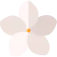 Ervatamia icon 64x64