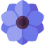Anemone icon 64x64