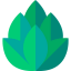 Hop icon 64x64