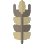 Пшеница иконка 64x64