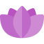 Lotus icon 64x64