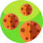 Cookies icon 64x64