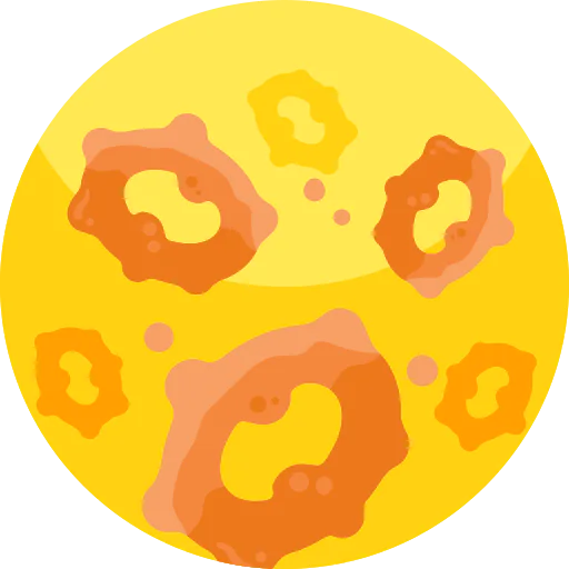 Onion ring icon