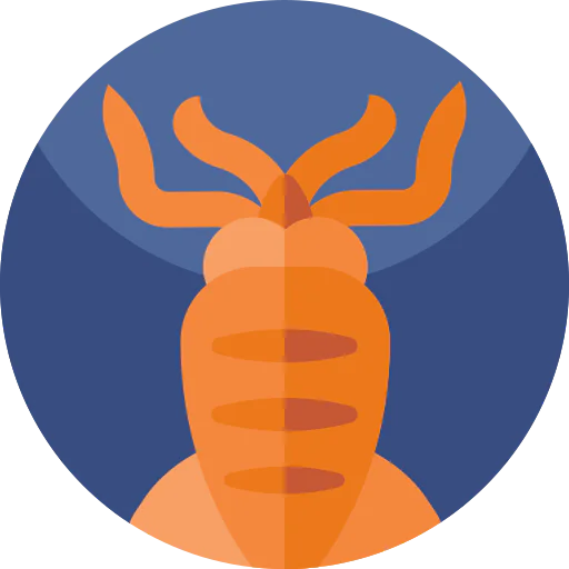 Squid icon