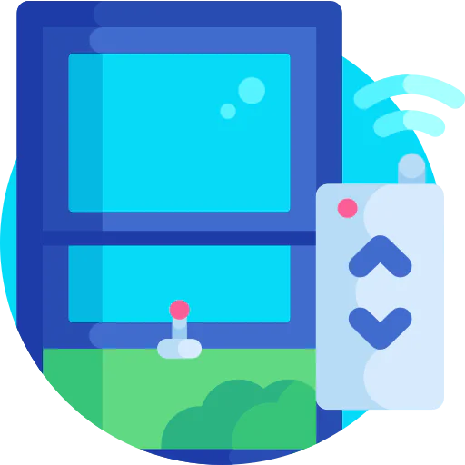 Window icon