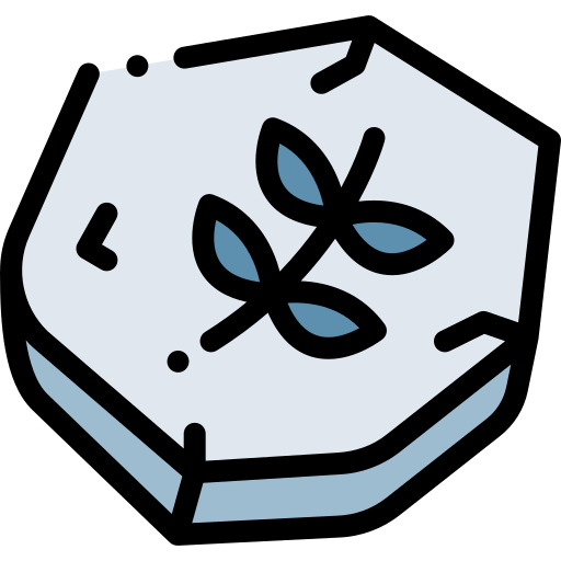 Fossil icon