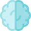 Brain biểu tượng 64x64