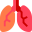 Lungs ícono 64x64