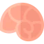 Sea snail icon 64x64