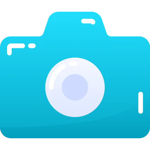 Capture icon