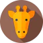 Giraffe Ikona 64x64