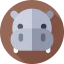 Hippopotamus アイコン 64x64