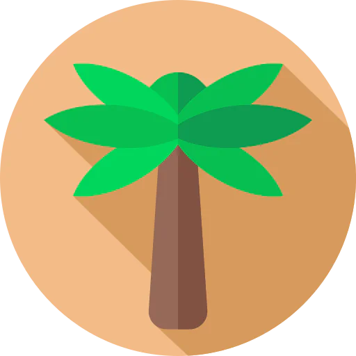 Palm tree icon