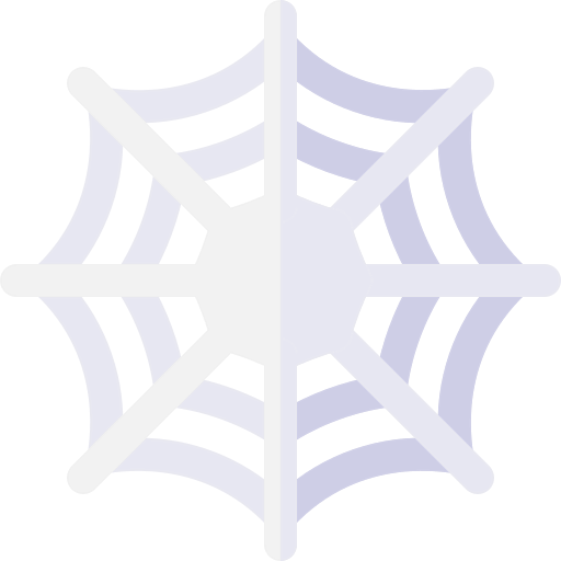 Spider web icon