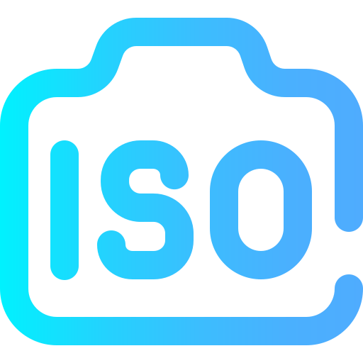 Iso icon