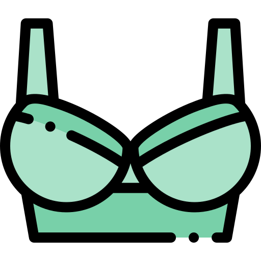 Bra icon
