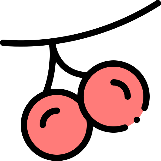Cherries icon