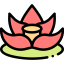 Lotus icon 64x64