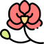 Orchid icon 64x64