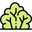 Bush icon 64x64
