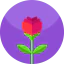 Rose icon 64x64
