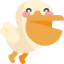 Pelican icon 64x64