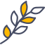 Branch biểu tượng 64x64