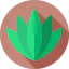 Aloe vera icon 64x64