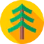 Larch icon 64x64