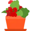 Plant icon 64x64