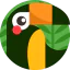 Bird biểu tượng 64x64